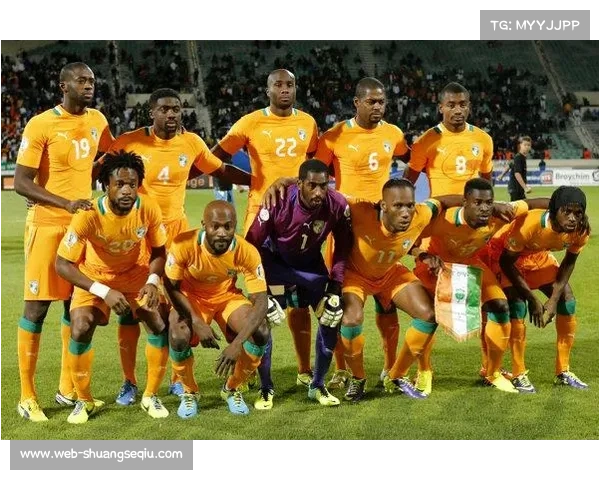 科特迪瓦晋级世界杯,非洲大象重返国际大赛舞台 科特迪瓦晋级世界杯,非洲大象重返国际大赛舞台